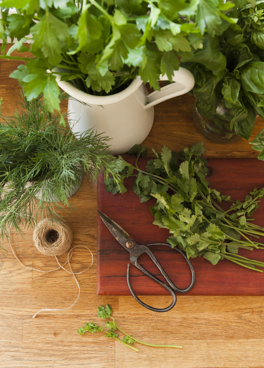 ABC Organic Gardener; Summer Harvest;